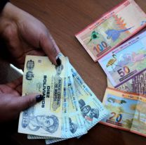 Se devalúa el Peso Boliviano: a cuánto cotiza hoy 19 de noviembre de 2024