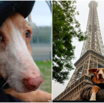 Mujer francesa vino al norte, adoptó un callejerito y lo llevó a Francia