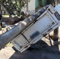 Mujer esperaba el bondi y murió, la arrolló la caja de una camioneta