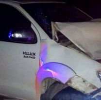 Terrible accidente en Ruta Nº 34: potrillo se le cruzó a una camioneta