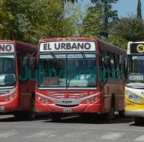 Mañana habrá cambios en las paradas de colectivos en Jujuy: ¿Desde qué hora?