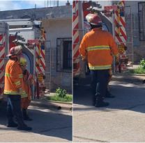 Un perrito murió electrocutado en un barrio jujeño: "podría haber sido un niño"