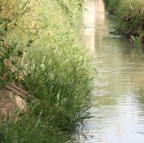 Macabro hallazgo en Jujuy: encuentran sin vida a un hombre en una acequia