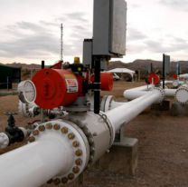 Buscan privatizar el gasoducto clave que une Vaca Muerta y que permite vender el combustible a Brasil