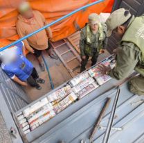 En dos procedimientos se secuestraron más de 400kg de hoja de coca en Jujuy