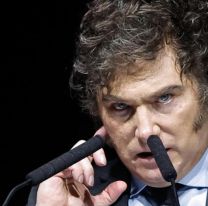 Renunció otro funcionario de la gestión de Javier Milei: los motivos