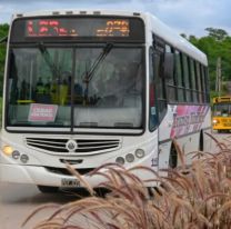 Navidad: ¿a qué hora hay colectivos el 25 de diciembre en Jujuy?