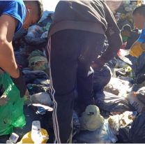 Abrió una bolsa de la basura y gritó tan fuerte que se quedó mudo: "Habían..."