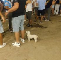 Polémica en Perico: un hombre llevó a su perrito a una carpa bailable