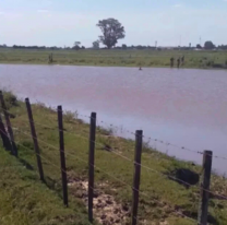 Adolescente se metió al río a nadar con sus amigos y no salió más: "Se hundió"