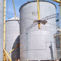 Murió un niño tras quedar atrapado en un silo de granos: tenía 9 años