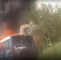 Se prendió fuego un colectivo en plena ruta: iba lleno de pasajeros