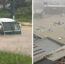 Alerta en Florianópolis: piden a los turistas no salgan de sus casas por las inundaciones