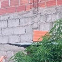 Vecinos sintieron un olor extraño, llamaron a la policía y se dieron con una sorpresa