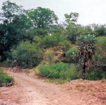 Salía de misa y un monstruo le hizo lo peor: "Se la llevó al monte"