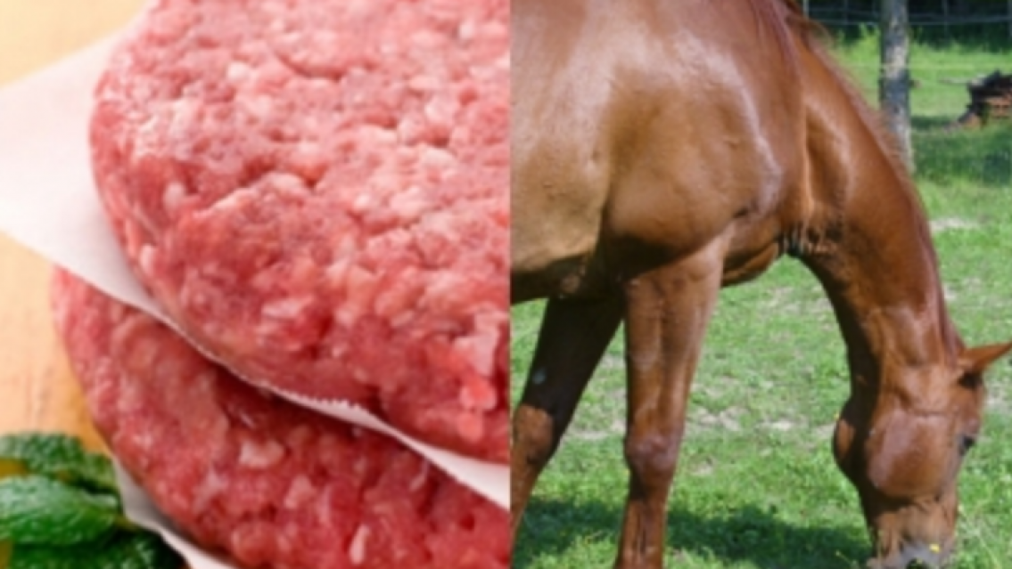 Te decimos cómo detectar si te venden carne de caballo en vez de cortes