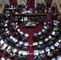 Senadores se preparan para debatir Ganancias la próxima semana