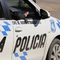 Jujeño asesinó a 5 perritos y quedó libre: lo imputaron por crueldad animal