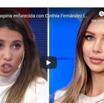 "Falsa de mier... mantenida, gorreada y me chupás las...", Malaspina contra Cinthia Fernández