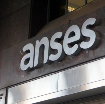 Uno a uno los beneficios de ANSES este noviembre, Más cultura, Potenciar trabajo, entre otros