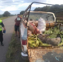 La policía los paró en la ruta y no sabían qué hacer: "tenían bolsas repletas de..."