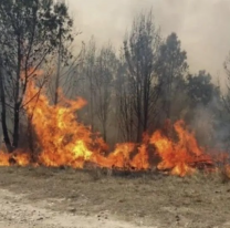 El fuego en Jujuy consumió más de 7200 hectáreas en las Yungas