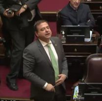 Fracasó la sesión del Senado y se indignaron con Snopek: lo tildaron de traidor