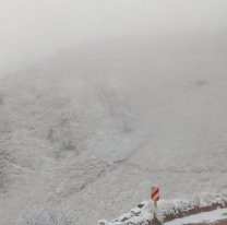 Muy cerquita de Jujuy, amaneció todo nevado en plena primavera. HAY FOTOS