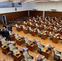 Diputados aprobaron la Ley de Propiedad Comunitaria