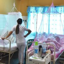 Confirmaron 114 casos de dengue en Jujuy y crece la preocupación