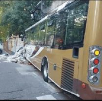 Colectivero drogado chocó en pleno centro: 14 personas heridas