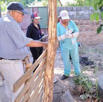 Jujuy: cedió el dengue y por dos semanas no hubo nuevos casos