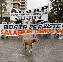 En Jujuy, el perro volvió a la calle y sostuvo: "La reforma tiene que caer"