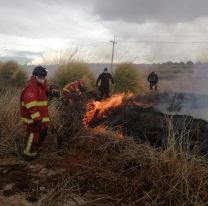 Un incendio consumió parte de Laguna de los Patos en Jujuy