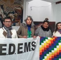 Cedems convoca a los docentes a no participar de las actividades de la FNE