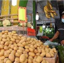 El precio de la papa por las nubes y productores en peligro