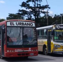 Jujuy y Tierra del Fuego son las únicas provincias que no tendrán colectivo gratis el domingo 