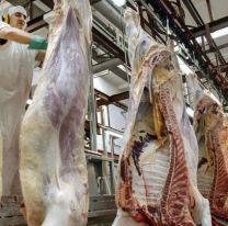 Ahora el Gobierno desmiente suspensión de exportaciones de carne