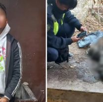 Gritos y desesperación: jujeño mató a sus cuatro perros en el barrio Forestal de Palpalá