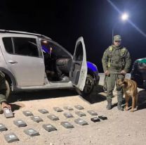 Secuestraron más de 20 kilos de cocaína de máxima pureza en Jujuy