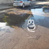 Palpaleños denuncian abandono total de Agua Potable: es un desastre